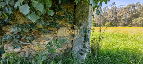 Grundstück in Esposende, Portugal 4700m², Nr. 51720 13