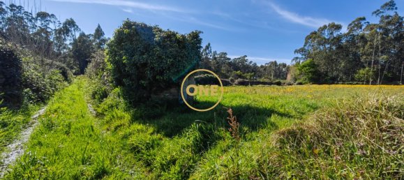 Grundstück in Esposende, Portugal 4700m², Nr. 51720 15