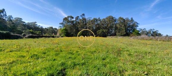 Grundstück in Esposende, Portugal 4700m², Nr. 51720 10