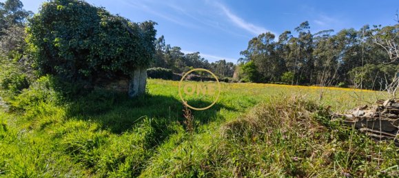 Grundstück in Esposende, Portugal 4700m², Nr. 51720 12