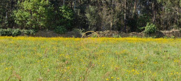 Grundstück in Esposende, Portugal 4700m², Nr. 51720 11