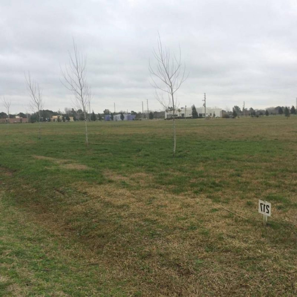  Land in San Vicente, Argentina No. 35495