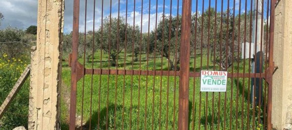 7000m² Land in Naro, Italy No. 133291 3