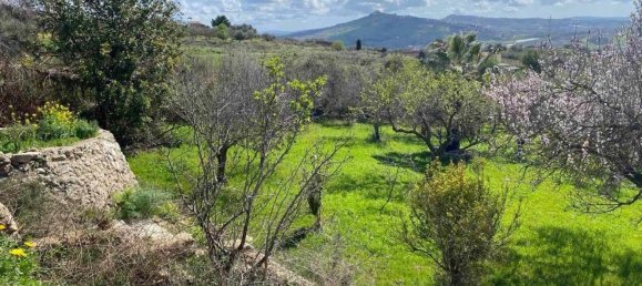 7000m² Land in Naro, Italy No. 133291 6
