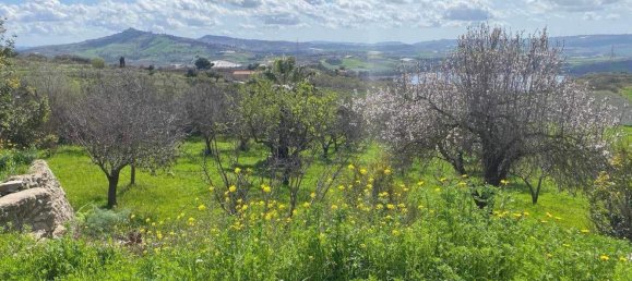 7000m² Land in Naro, Italy No. 133291 7