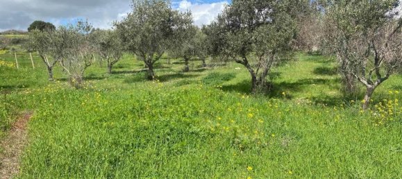 7000m² Land in Naro, Italy No. 133291 8