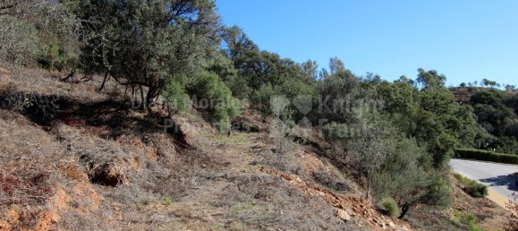 Земельный участок в Марбелья, Испания № 129763 5