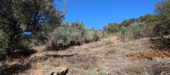 Земельный участок в Марбелья, Испания № 129763 7