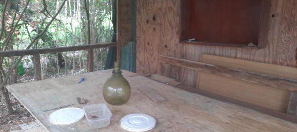 1-Zimmer Grundstück in Livorno, Italy, Nr. 67070 10