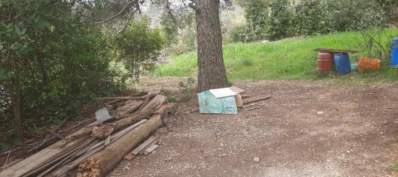 1-Zimmer Grundstück in Livorno, Italy, Nr. 67070 7