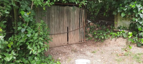 1-Zimmer Grundstück in Livorno, Italy, Nr. 67070 4