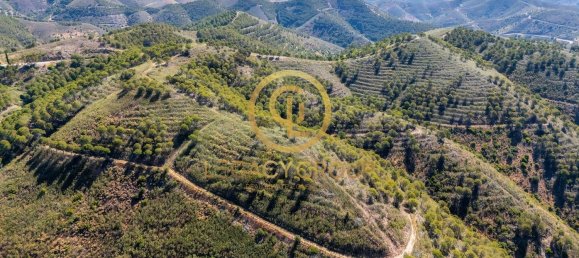 Terreno em Cachopo, Portugal 899794 m² N.º 40185 29