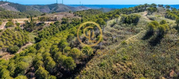 Terreno em Cachopo, Portugal 899794 m² N.º 40185 3