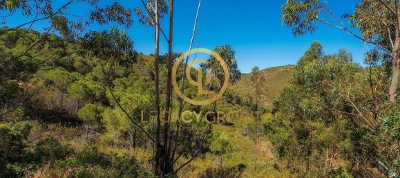 Terreno em Cachopo, Portugal 899794 m² N.º 40185 12