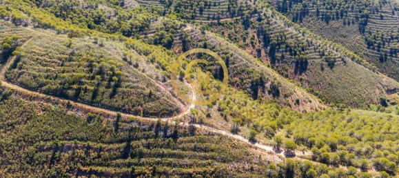 Terreno em Cachopo, Portugal 899794 m² N.º 40185 27