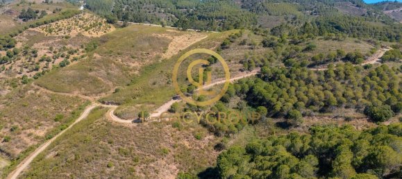 Terreno em Cachopo, Portugal 899794 m² N.º 40185 5