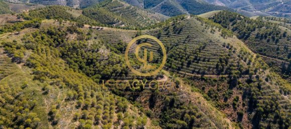 Terreno em Cachopo, Portugal 899794 m² N.º 40185 33