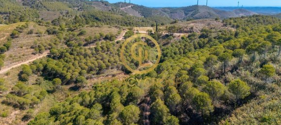 Terreno em Cachopo, Portugal 899794 m² N.º 40185 4