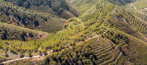 Terreno em Cachopo, Portugal 899794 m² N.º 40185 26