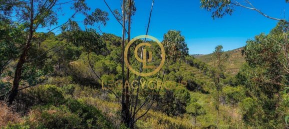 Terreno em Cachopo, Portugal 899794 m² N.º 40185 20