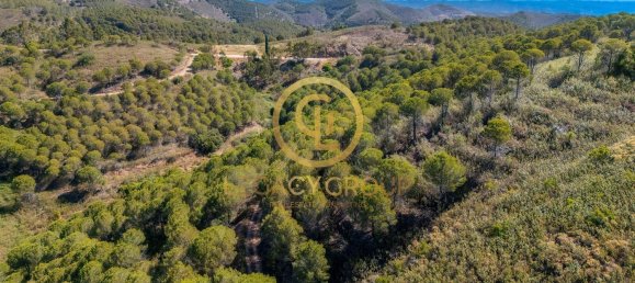 Terreno em Cachopo, Portugal 899794 m² N.º 40185 8