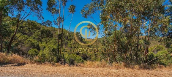 Terreno em Cachopo, Portugal 899794 m² N.º 40185 13