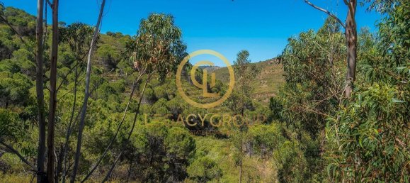 Terreno em Cachopo, Portugal 899794 m² N.º 40185 19