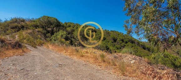 Terreno em Cachopo, Portugal 899794 m² N.º 40185 16