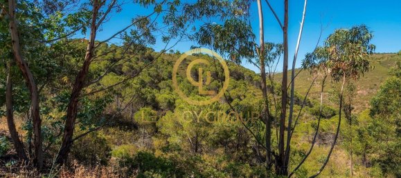 Terreno em Cachopo, Portugal 899794 m² N.º 40185 11