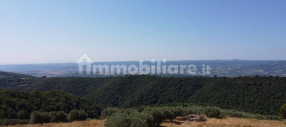 10 bedrooms House in Ficulle, Italy No. 106311 36