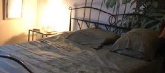 4 Schlafzimmer Haus in Haute-Garonne, France, Nr. 290794 3