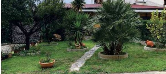 7 rooms Apartment in Montalto Uffugo, Italy No. 41604 10