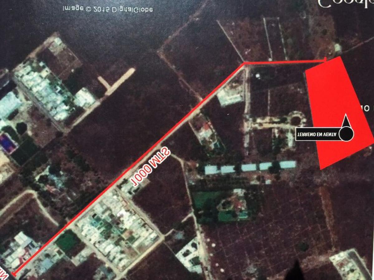 Земельный участок в Мерида, Мексика № 98129