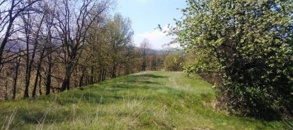 5 rooms House in Giusvalla, Italy No. 125413 18