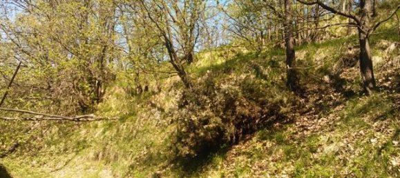 5 rooms House in Giusvalla, Italy No. 125413 19