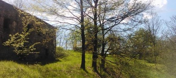 5 rooms House in Giusvalla, Italy No. 125413 10