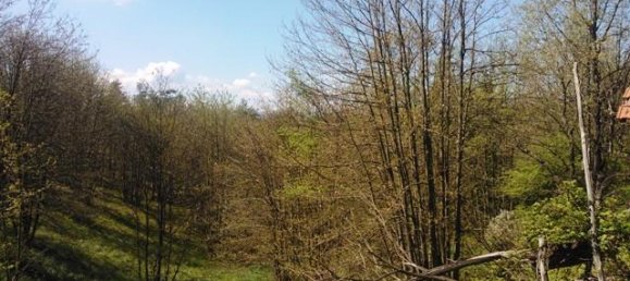 5 rooms House in Giusvalla, Italy No. 125413 11