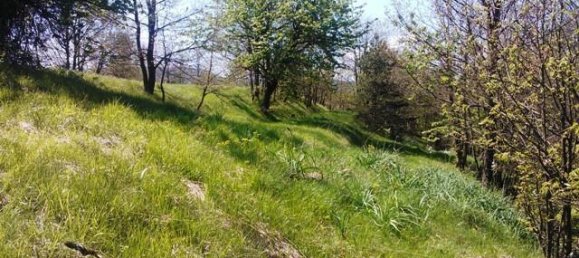 5 rooms House in Giusvalla, Italy No. 125413 14