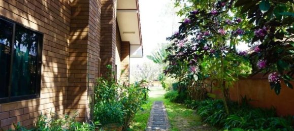 3 bedrooms Cafe / restaurant in Chiang Mai, Thailand No. 11693 23