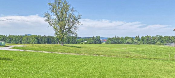  قطعة أرض في Eugendorf, Austria 1000متر مربع رقم 113424 2