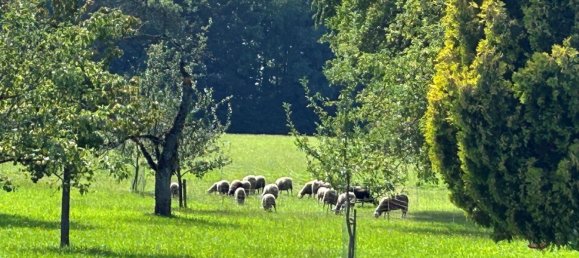  قطعة أرض في Eugendorf, Austria 1000متر مربع رقم 113424 4