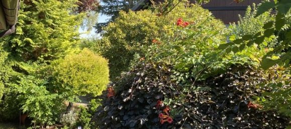 2 Schlafzimmer Haus in Gifhorn, Germany, Nr. 138497 5