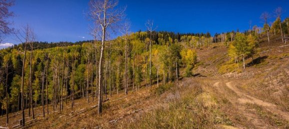  فندق في Glenwood Springs, USA 81.47متر مربع رقم 93 19