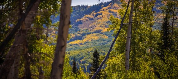  فندق في Glenwood Springs, USA 81.47متر مربع رقم 93 12