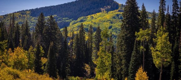  فندق في Glenwood Springs, USA 81.47متر مربع رقم 93 10