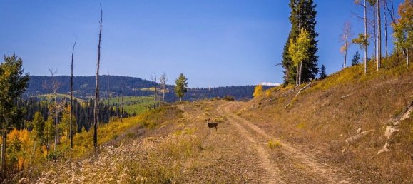  فندق في Glenwood Springs, USA 81.47متر مربع رقم 93 18