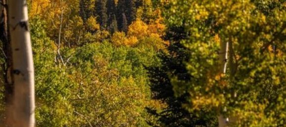  فندق في Glenwood Springs, USA 81.47متر مربع رقم 93 11