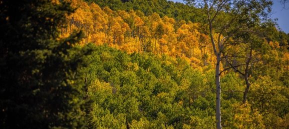  فندق في Glenwood Springs, USA 81.47متر مربع رقم 93 13