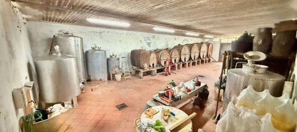 Villa T3 em Lucca, Italy N.º 390826 24