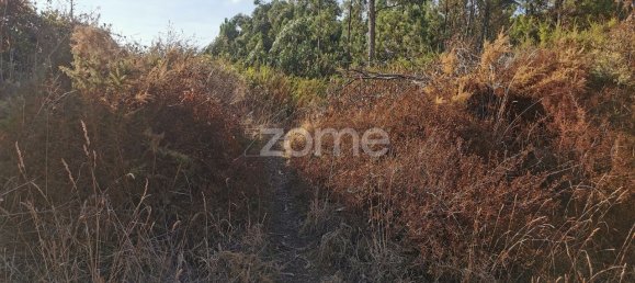 Terrain à Agueda, Portugal 3700m² No. 78829 26